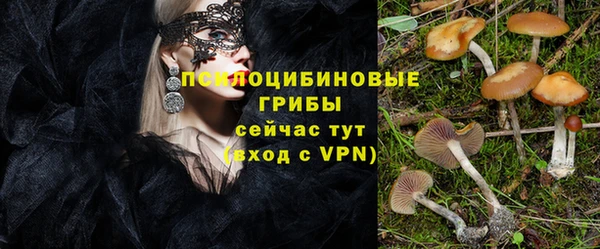 мефедрон Снежногорск