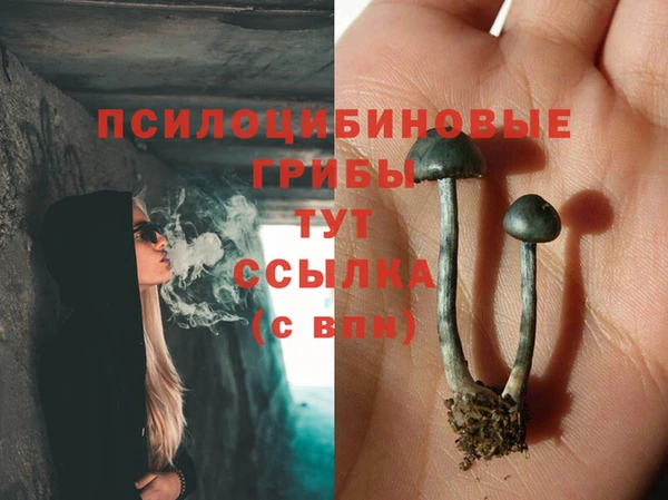 мефедрон Снежногорск